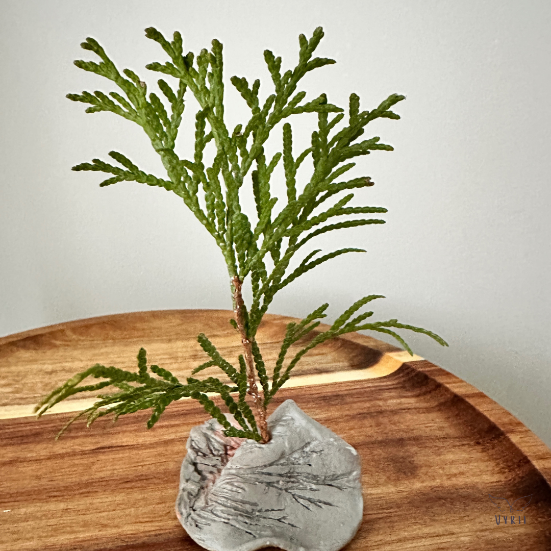Miniature Driftwood Vessel: Muker