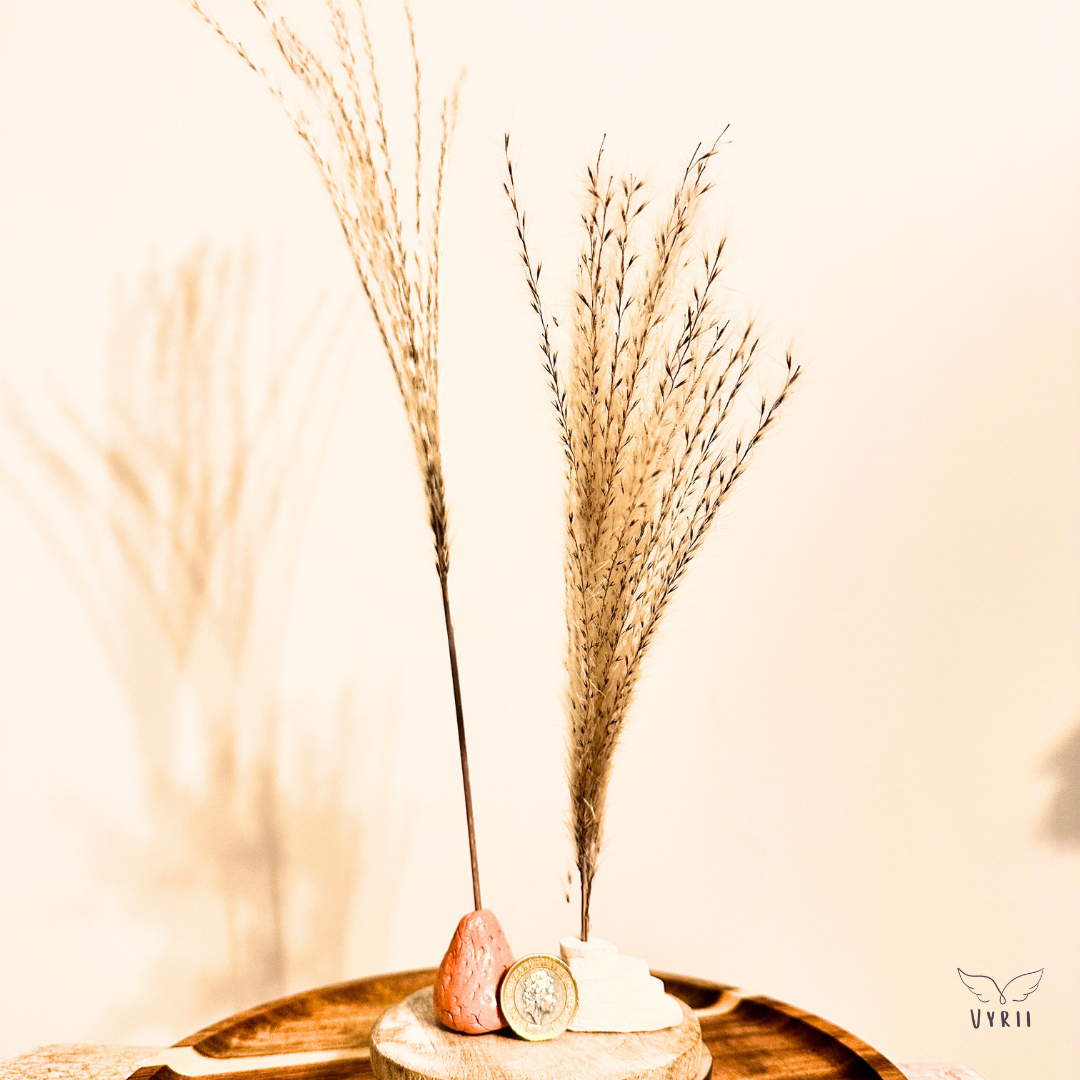 Miniature Vase Duo with Dried Grass