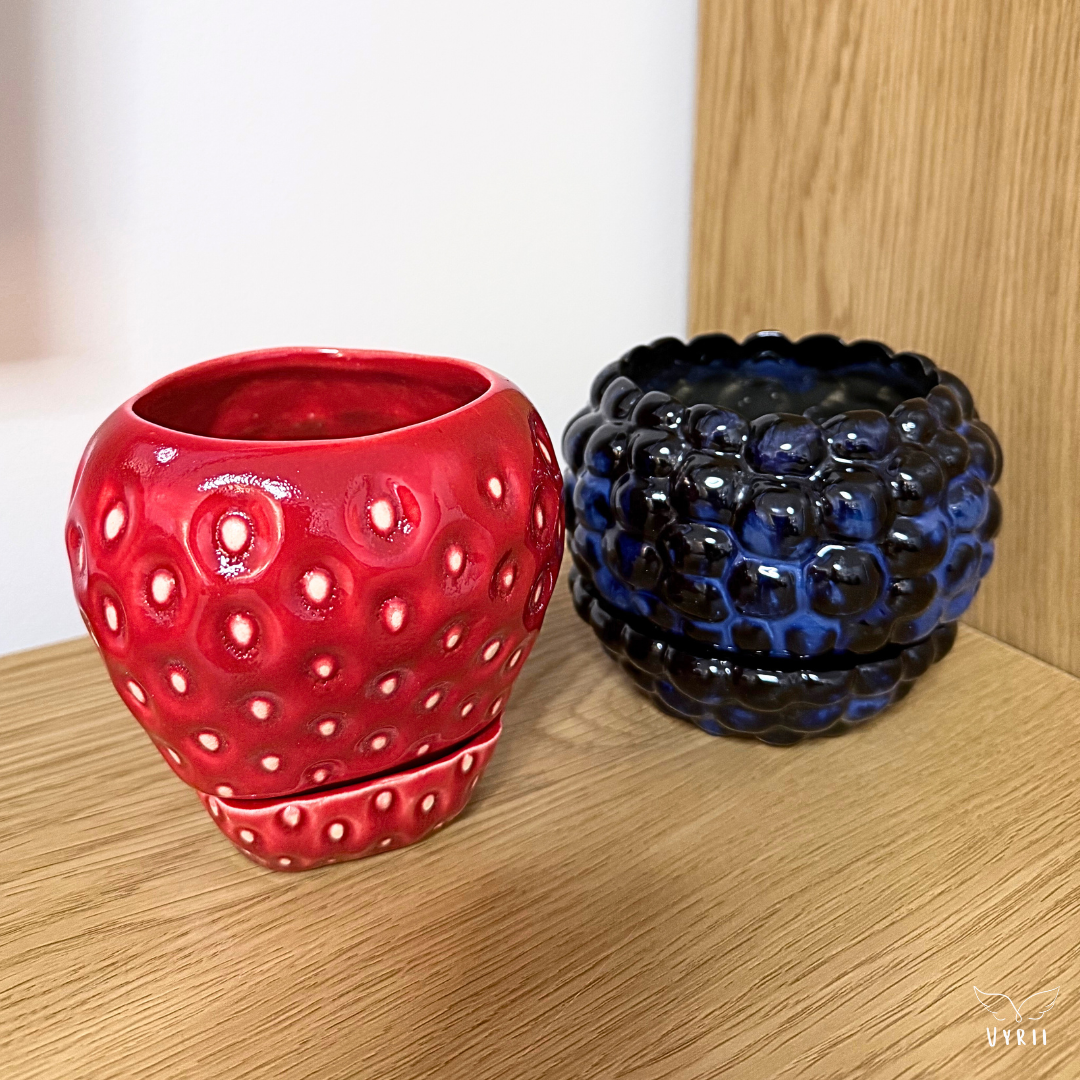 Blackberry Plant Pot