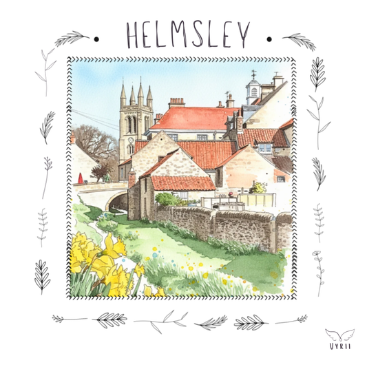 Helmsley's Daffodils: Pen& Wash