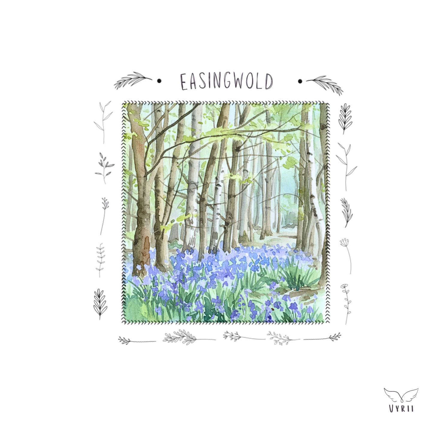 Millfields Bluebells