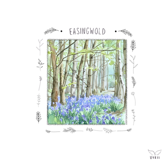 Millfields Bluebells