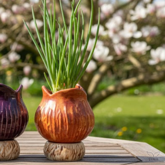 Onion Plant Pot: Shallot