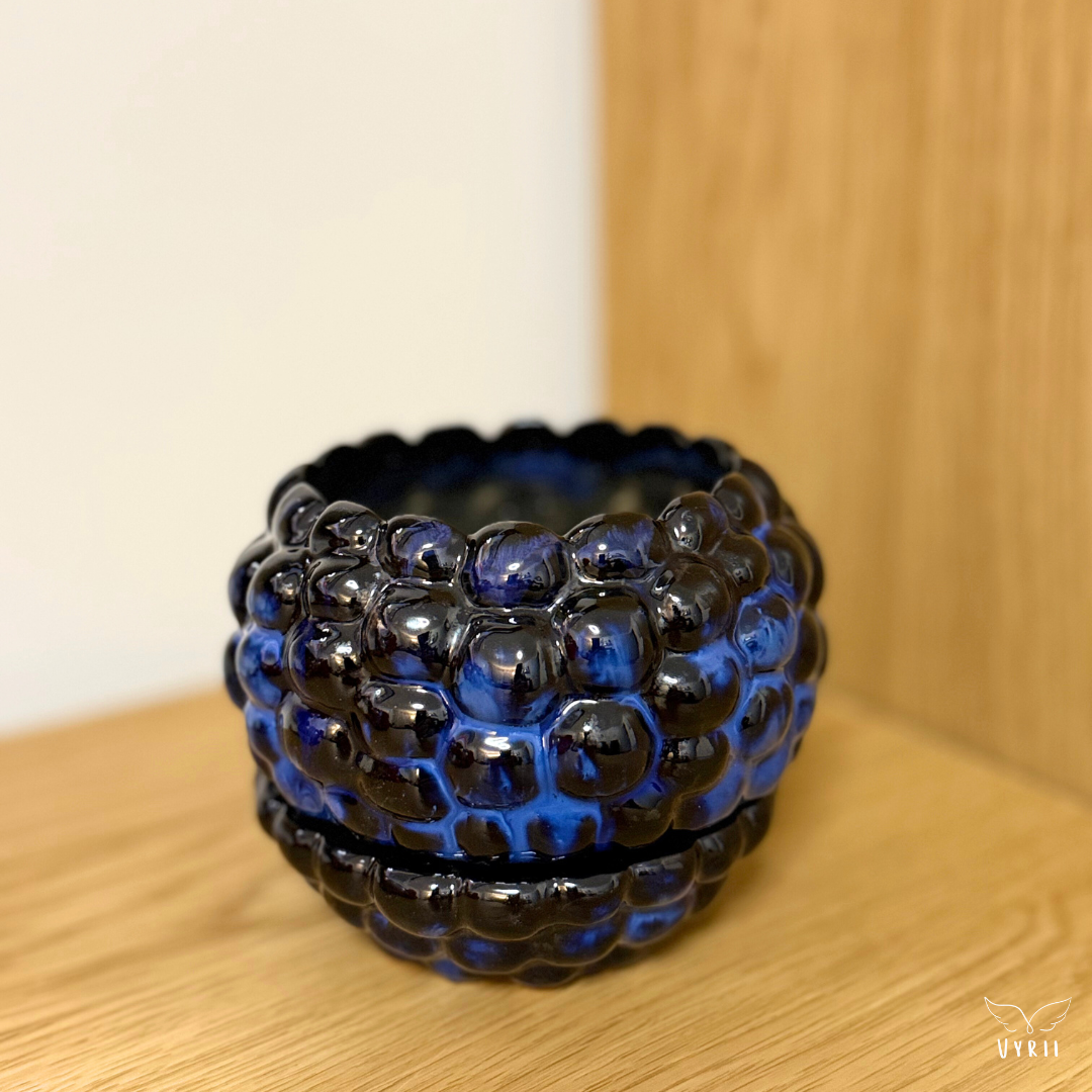 Blackberry Plant Pot