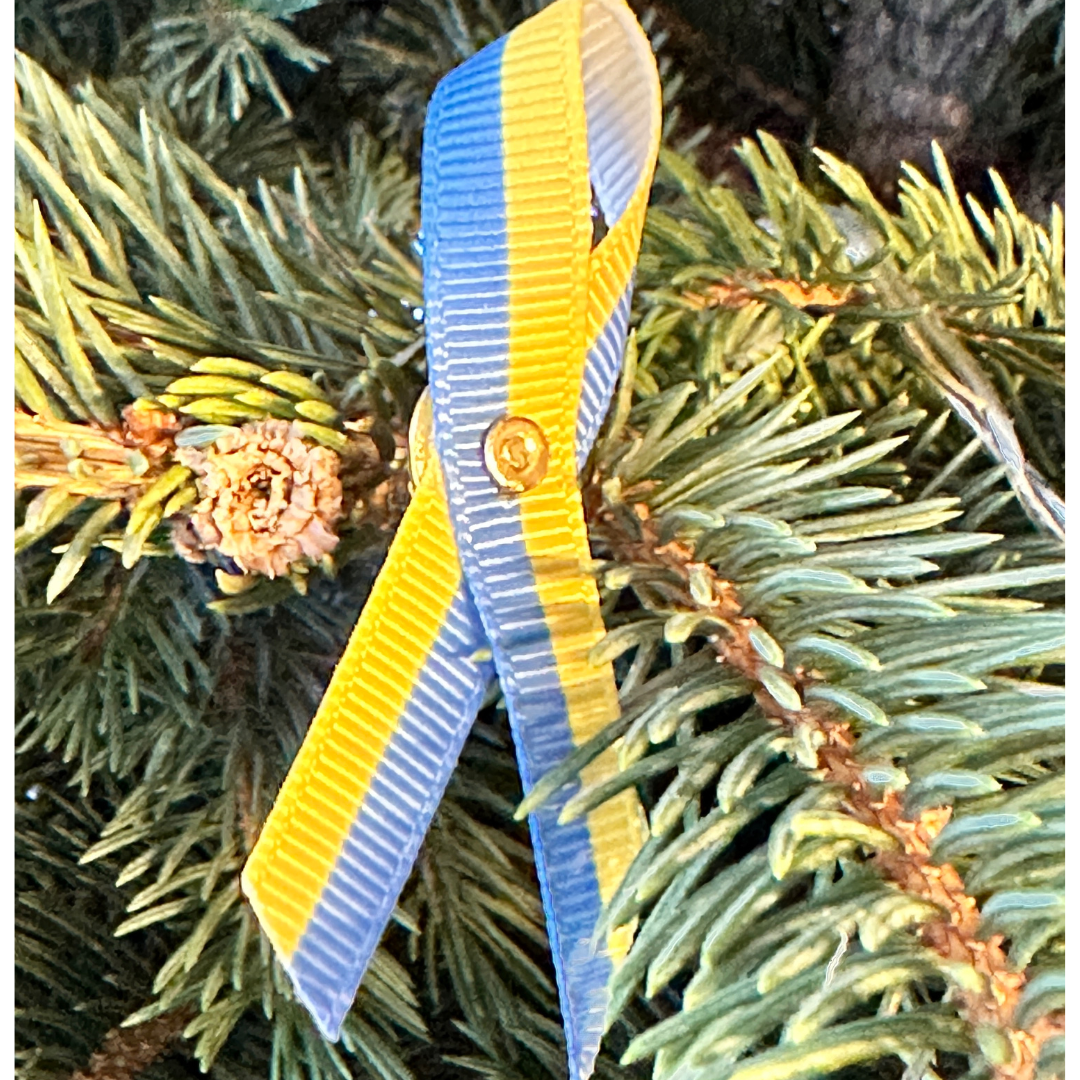 Ukrainian Support Ribbon Pin