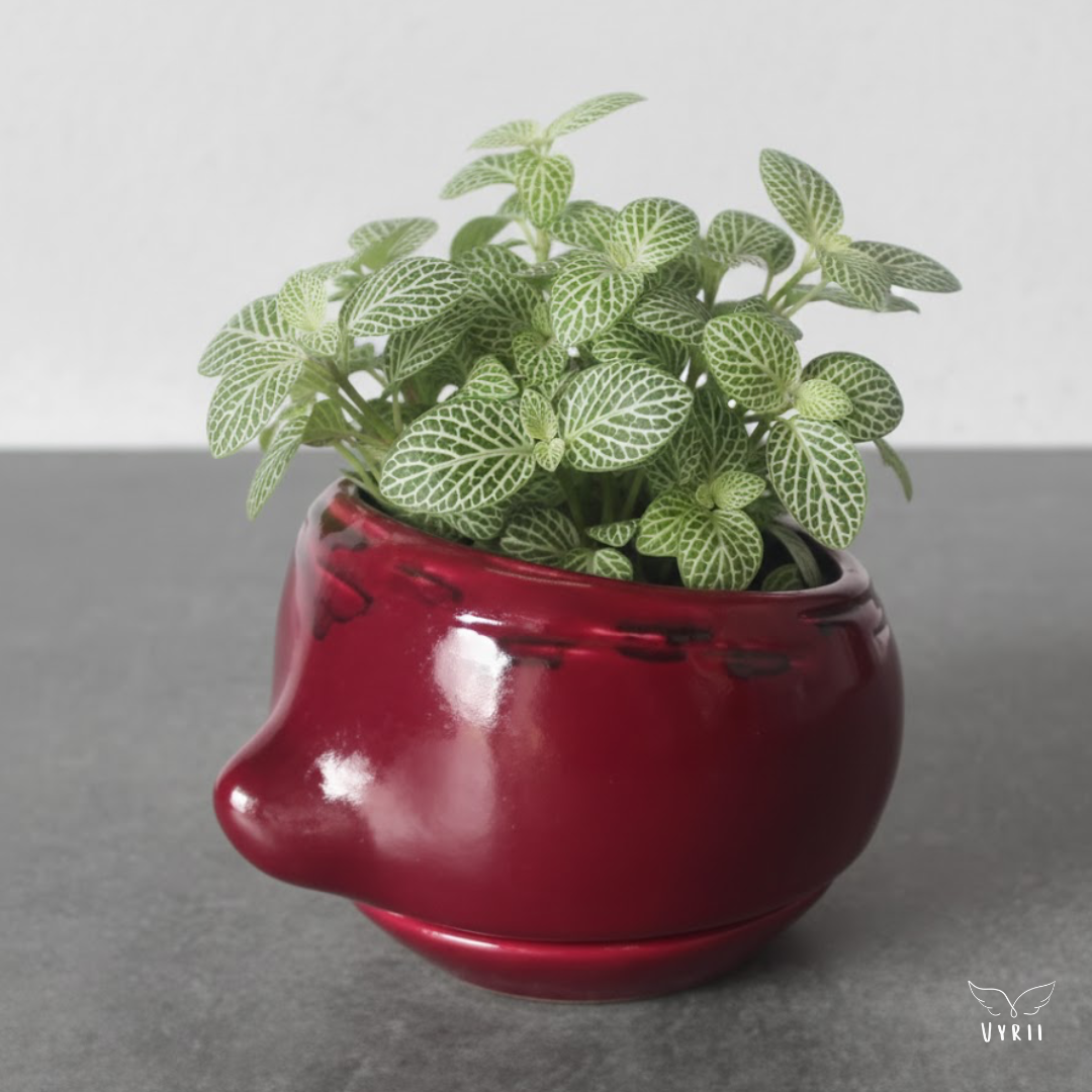 Beetroot Plant Pot