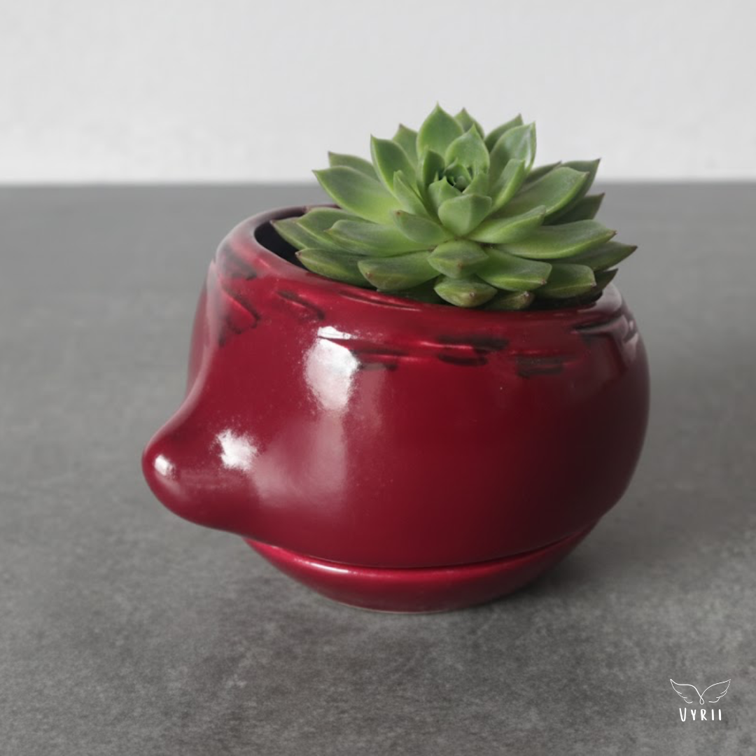 Beetroot Plant Pot