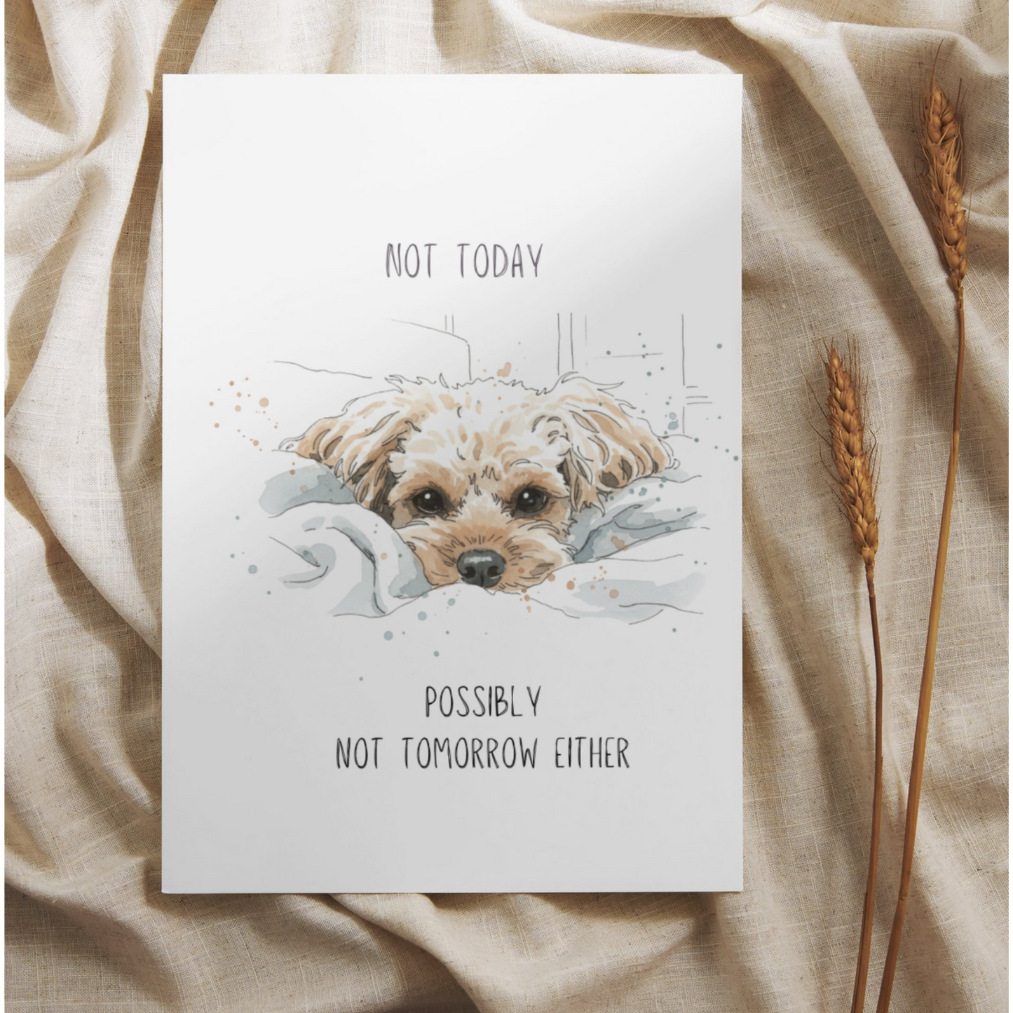 Not Today
