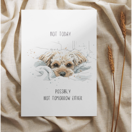 Not Today