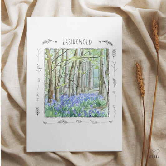 Millfields Bluebells