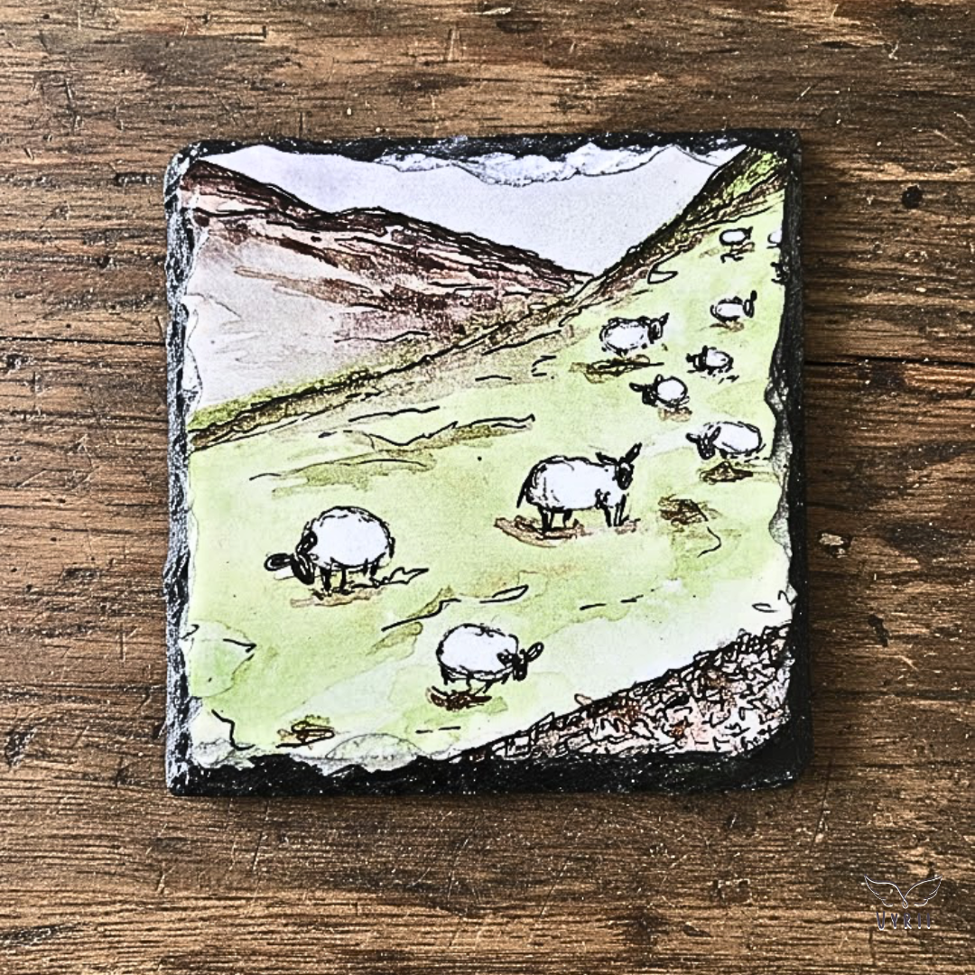 Slate Coaster: Sheep Doing Nothing