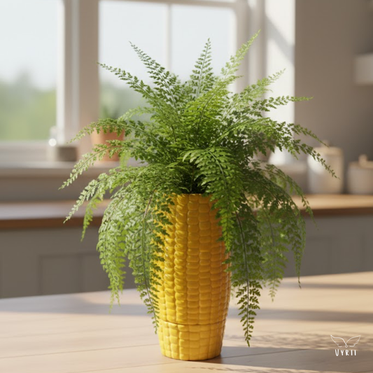 Corn Plant Pot