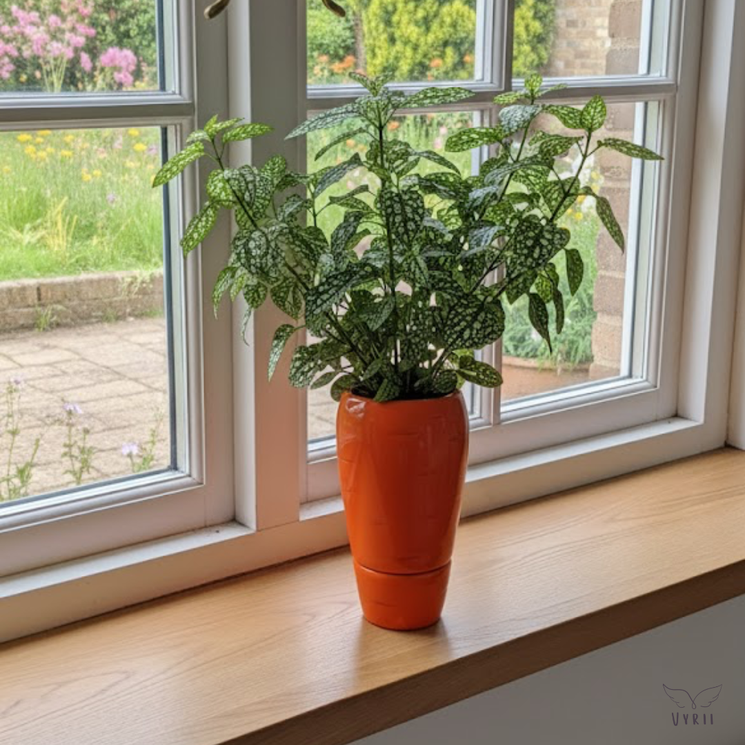 Carrot Plant Pot