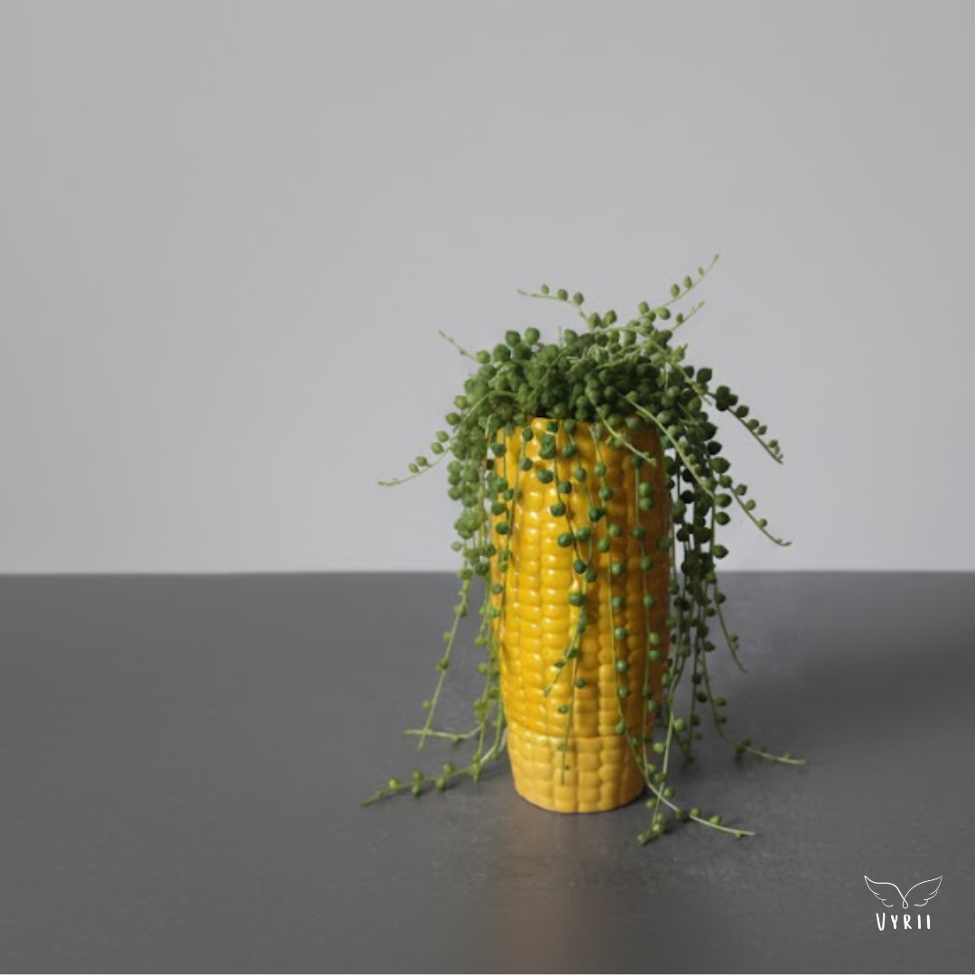 Corn Plant Pot