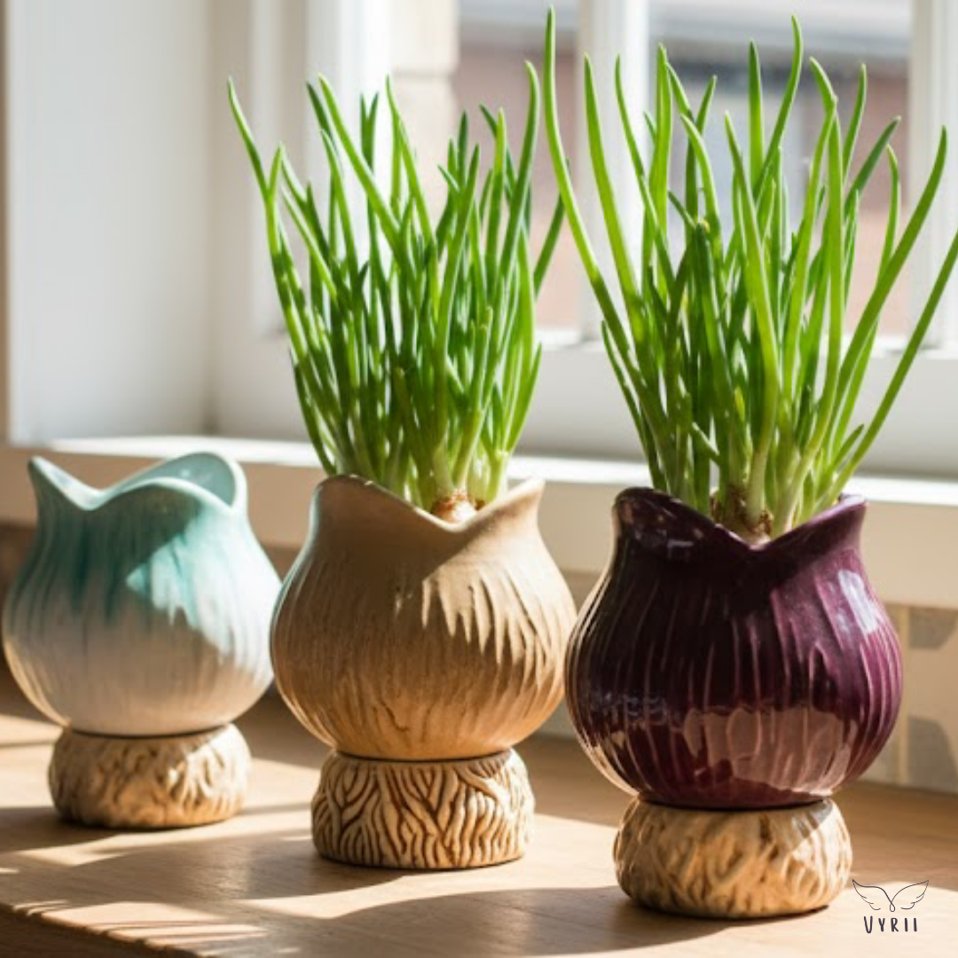 Onion Plant Pot: Shallot