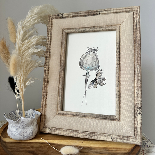 Poppy & Moth