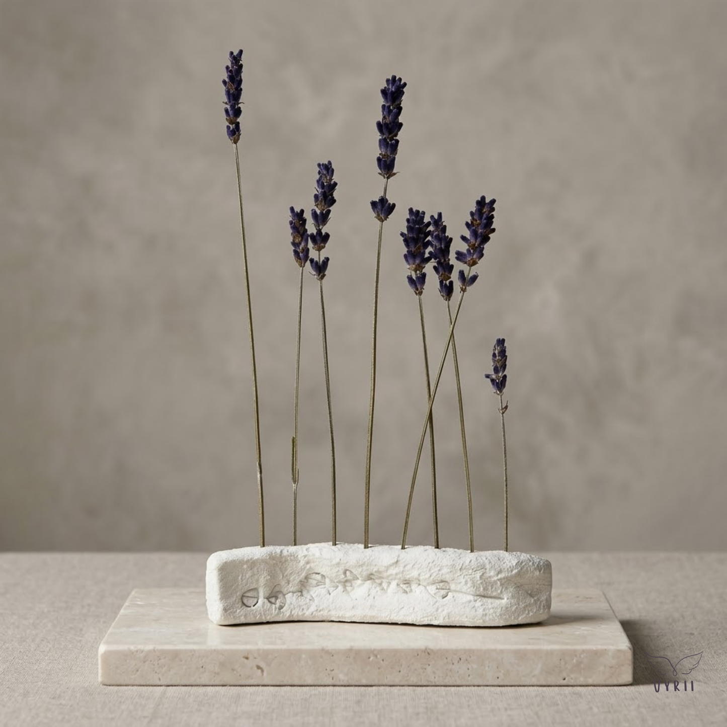 Lavender Field