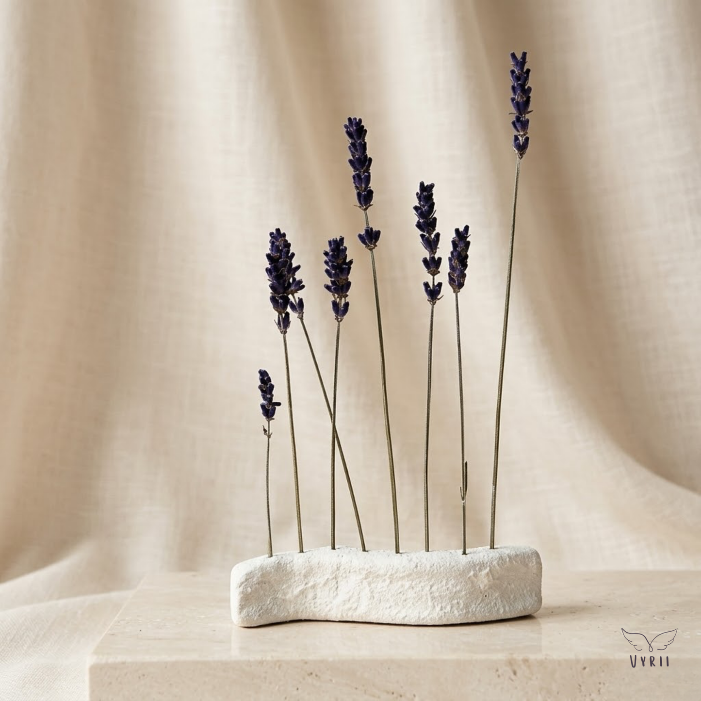 Lavender Field
